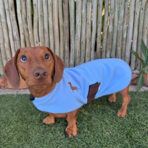 CDR Dog Jacket Baby Blue