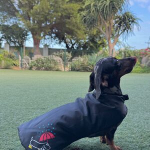 CDR Small Black Rain Jacket with Picture