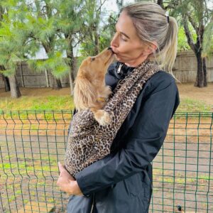 CDR Dog Sling Leopard Print