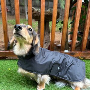 CDR Rain Jacket Black with Red Tartan Lining