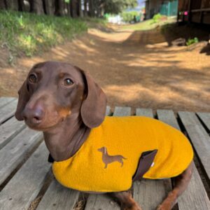 CDR Dog Jacket Mustard