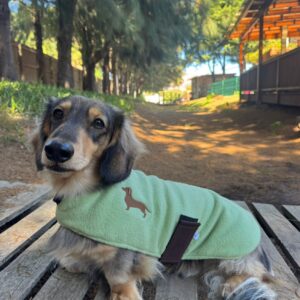 CDR Dog Jacket Sage Green